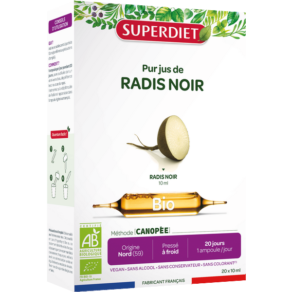 Radis noir bio (allié du foie) - 1